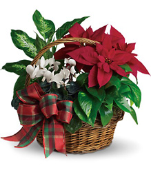Holiday Homecoming Basket - from Roses and More Florist in Dallas, TX